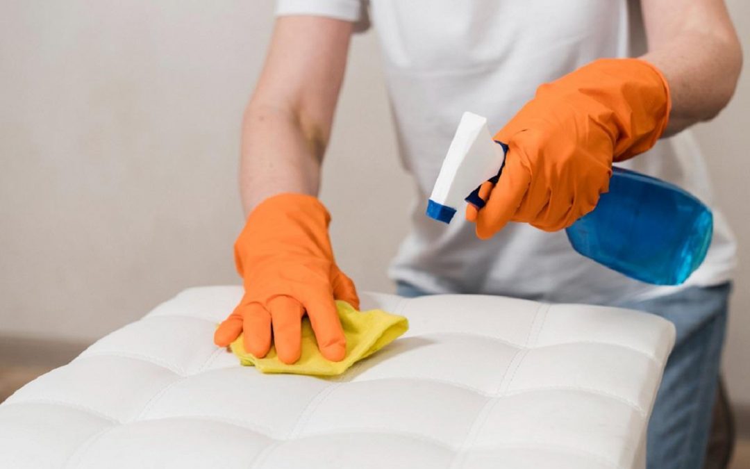 Cómo Eliminar las Chinches en Casa de Forma Rápida y Eficaz