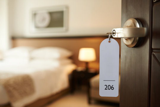 ¿Tienes chinches en tu hotel? Esto es lo que debes hacer de inmediato