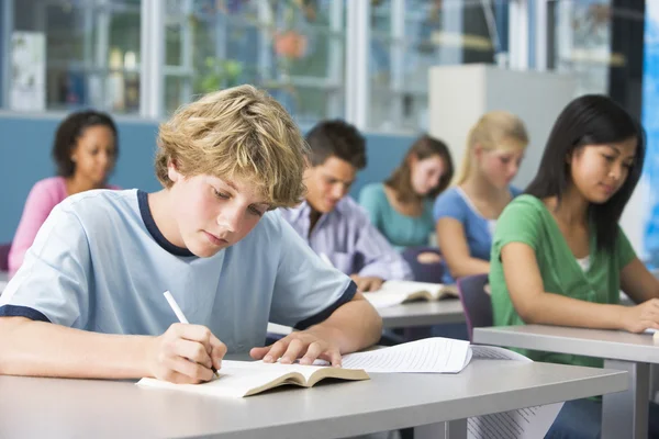 Chinches en Colegios y Guarderías en Barcelona: Protocolo Urgente y Eliminación Profesional